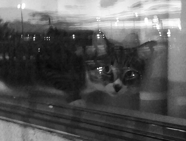 Photography by Bill Gimbel